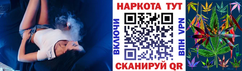 Где купить наркотики Грозный Кетамин  APVP  OMG вход  Гашиш  Cocaine  Псилоцибиновые грибы 