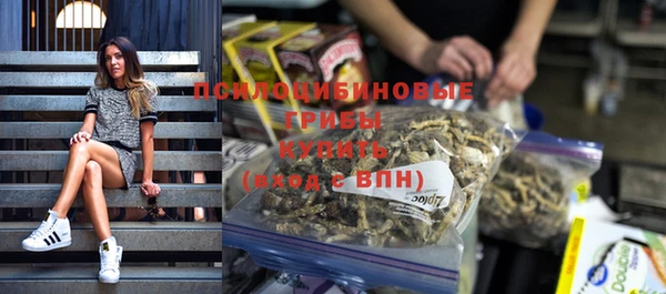 ешки Дмитров