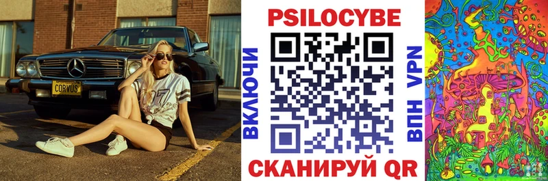 OMG как зайти  Грозный  Псилоцибиновые грибы Psilocybine cubensis  наркошоп 